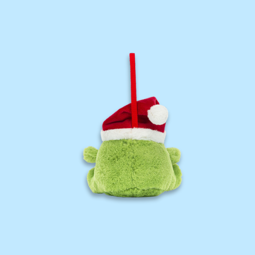 Ricky Rain Frog Decoration